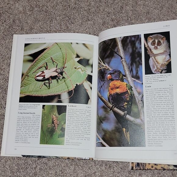 Collier's Illustrated Encyclopedia of Animals - Aardvark to Zorille + 2,000 More - Picture 14 of 14